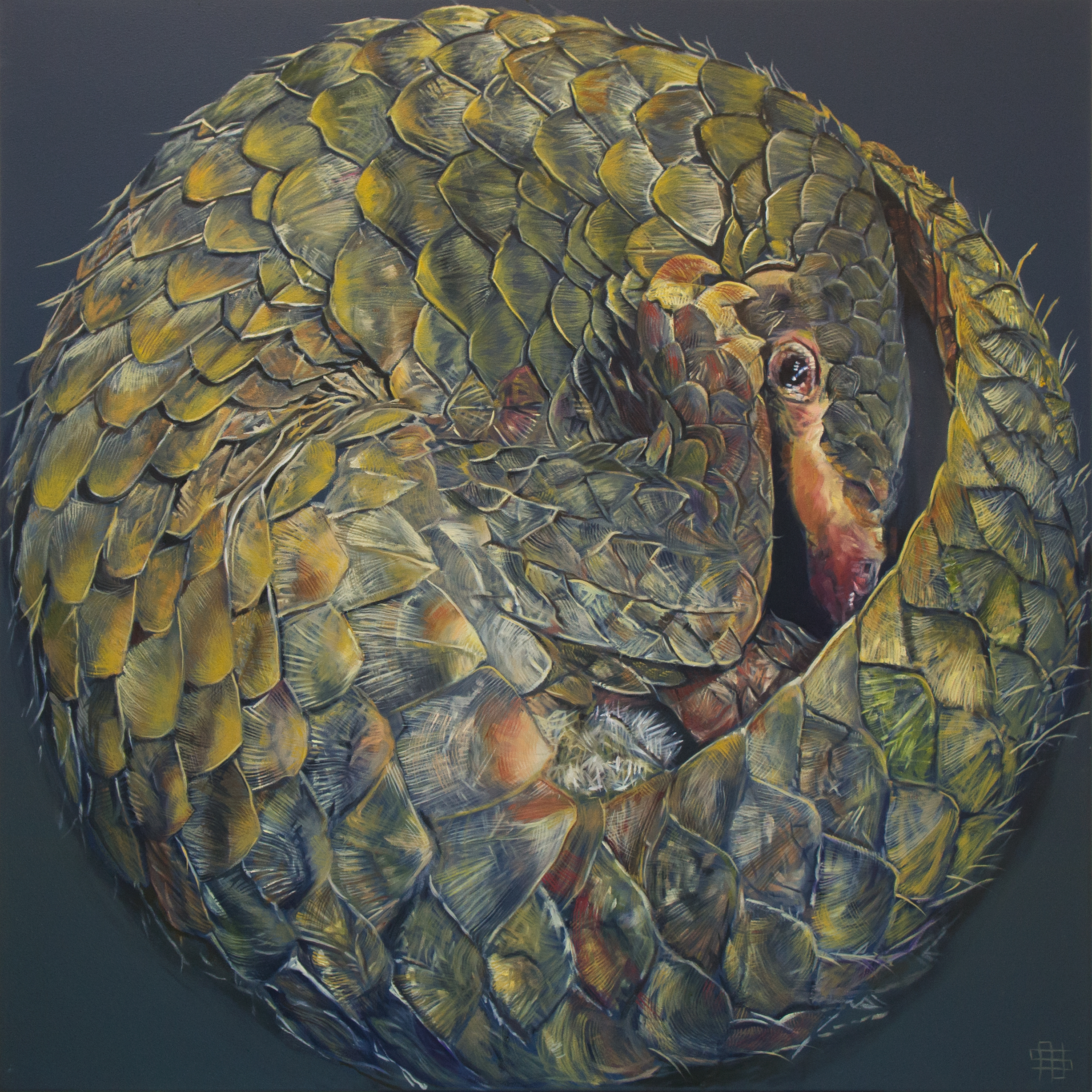 Pangolin - Nayartist2456 x 2456