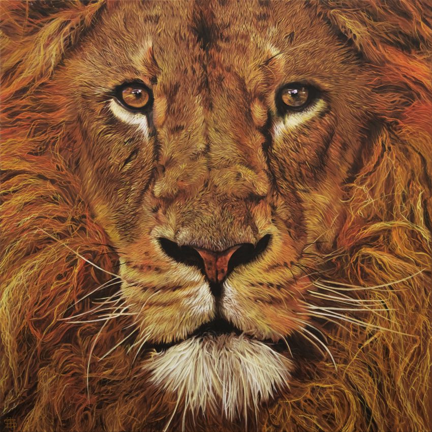 African Lion - Nayartist